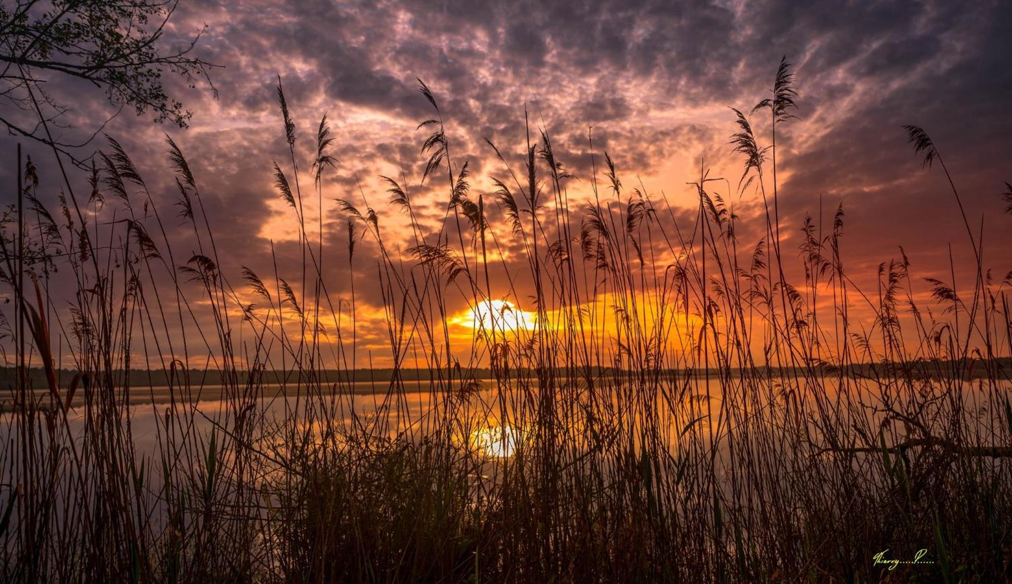 Vk Lake Aureilhan  Exteriér fotografie